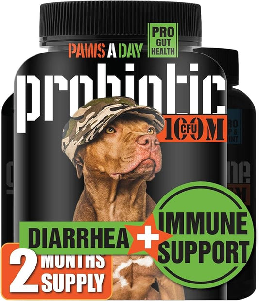 Canine Probiotics for Dogs Diarrhea Relief Flora & Immune Support – “Army Soldier Owned” Veterinary Dog Probiotics for Digestive Health, Firmer Stools & Sensitive Stomach, 60 Yummy Tablets (Pack of 1)