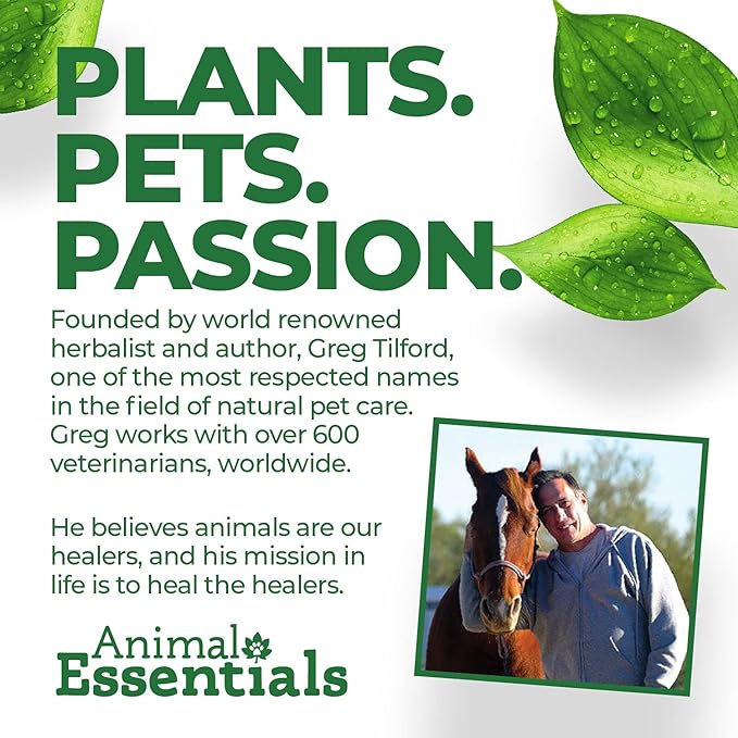 Animal Essentials Heart Health Cardio Support for Dogs and Cats, 1 fl oz - Made in USA Organic Hawthorn Berries Alcohol Free