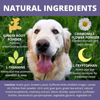 Under the Weather Pet Soft Dog Chew Supplements for Calming and Probiotics | Supports Relaxation and Normal Emotional Balance in Dogs (Calming, 60 Count)