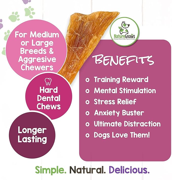 Nature Gnaws Paddywack Tendons for Dogs - Premium Natural Beef Dental Bones - Long Lasting Dog Chew Treats for Medium & Large Dogs - Rawhide Free 5-7 inch