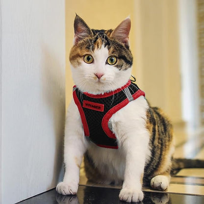 Voyager Step-In Air Dog Harness - All Weather Mesh Step in Vest Harness for Small and Medium Dogs by Best Pet Supplies - Red Trim, Small