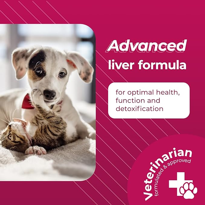 VetriScience Vetri SAMe Liver Supplements for Dogs & Cats, 90mg - 1-Month Supply (30 Tablets) - SAM-e Supplement with Glutathione Supports Liver Health, Function & Detox