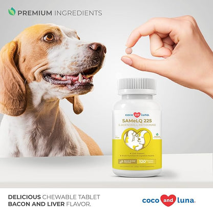 SAMe for Dogs - S-Adenosyl-L-Methionine, Liver Supplements for Dogs - Brain Supplement for Dogs, Promotes Cognitive Support, Liver Support Supplement