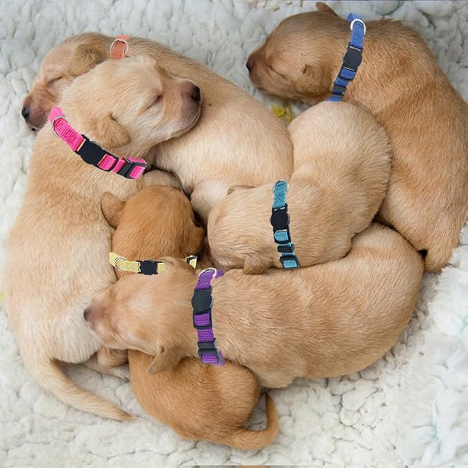14 PCS Puppy ID Collars Nylon Soft Identification Colorful Adjustable Breakaway Safety Whelping Litter Collars for Pups with Record Keeping Charts 14pcs/Set