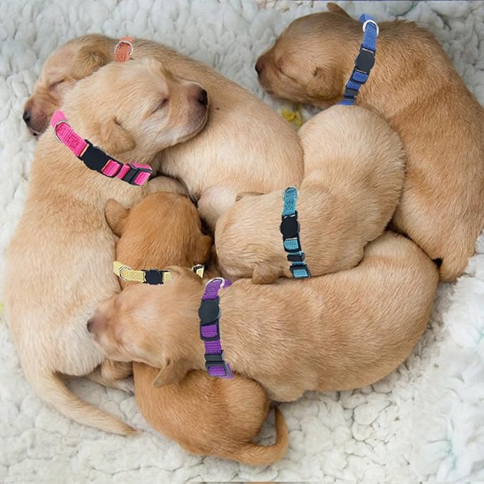 14 PCS Puppy ID Collars Nylon Soft Identification Colorful Adjustable Breakaway Safety Whelping Litter Collars for Pups with Record Keeping Charts 14pcs/Set (M)