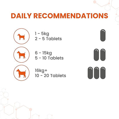 Garlic Health Supplement Tablets for Dogs, Healthy Heart, Vitality for Dogs, 240 Tablets