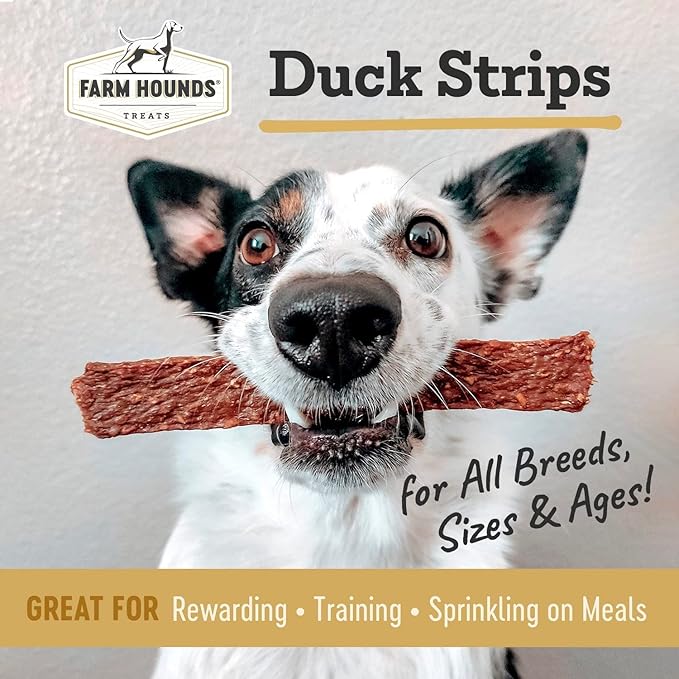 Farm Hounds Premium Natural Duck Treats for Dogs, 100% Made from Humanely-Raised Ducks, No Fillers Added, Nutrient-Rich Duck Jerky Dog Treats, Healthy Delicious Dog Strips, Made in USA, 2-Pack