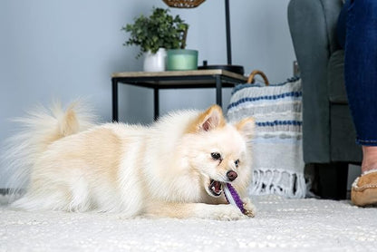 Hartz Chew 'n Clean Tuff Bone Bacon Scented Dental Dog Chew Toy - Extra Small