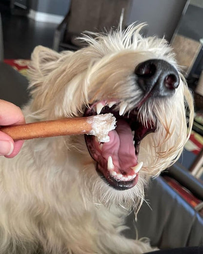 Bully Bunches Premium 6 Inch Standard Odor-Free Bully Sticks for Small to Medium Dogs & Puppies - Long Lasting Chews for Oral Care - All Natural, 100% Beef Dog Treats, Rawhide Free