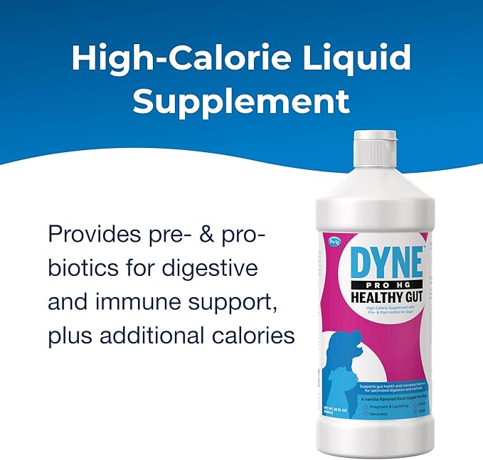 PetAg Dyne PRO HG Healthy Gut for Dogs & Puppies 8 Weeks & Older - 32 oz - High Calorie Liquid Nutritional Supplement with Pre- & Post-Biotics - Supports Endurance & Gut Health - Sweet Vanilla Flavor