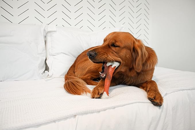 Nylabone Power Chew Femur Bone Rawhide Alternative Nylon Chew Toy for Dogs, Dog Toys for Aggressive Chewers, Beef, Large/Giant (1 Count)