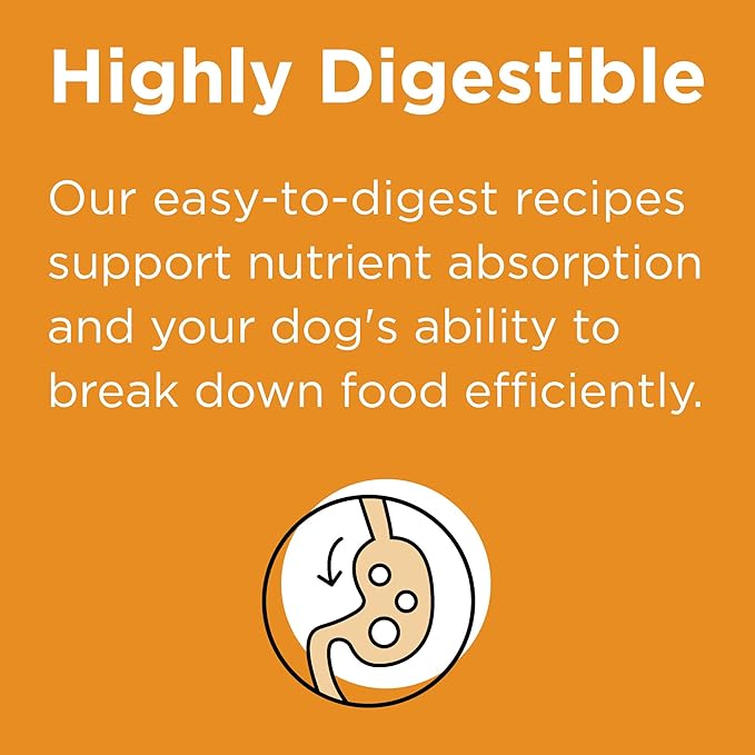 BIXBI Rawbble Dry Dog Food, Chicken, 4 lbs - USA Made with Fresh Meat - No Meat Meal & No Corn, Soy or Wheat - Freeze Dried Raw Coated Dog Food - Minimally Processed for Superior Digestibility