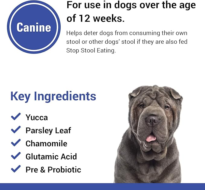 Vet Classics Stop Stool Eating Pet Health Supplement for Dogs – Dog Breath Freshener – Stops Dogs from Eating Stool – Enzymes, Probiotics – 90 Soft Chews