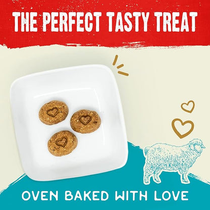 Stella & Chewy's Freeze-Dried Raw Coated Dog Biscuits – Grass-Fed Lamb Recipe – Protein Rich, Grain Free Dog & Puppy Treat – Great Snack for Training & Rewarding – 9 oz Bag