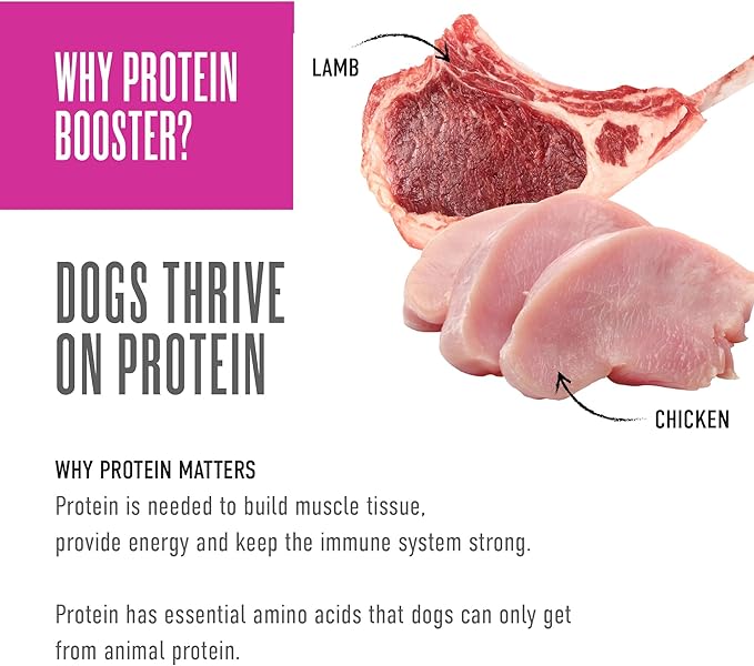 Tiki Dog Born Carnivore Protein Booster Dog Food Topper, Chicken and Lamb Recipe in Broth, 2.1 oz. Pouch (12 Count)