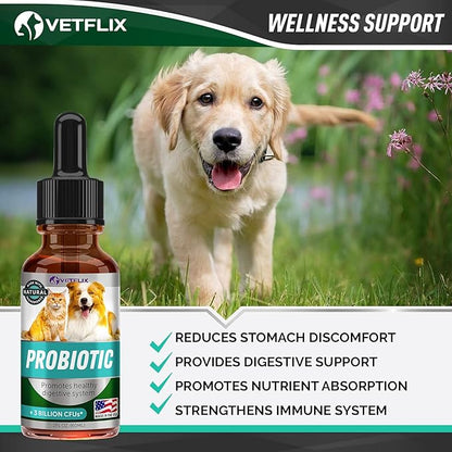 Premium Probiotics for Dogs & Cats - Digestive Enzymes & Prebiotics Supplement - Helps to Relieve Diarrhea, Vomiting, Upset Stomach, Gas, Constipation & Bad Breath - Supports Healthy Digestive System