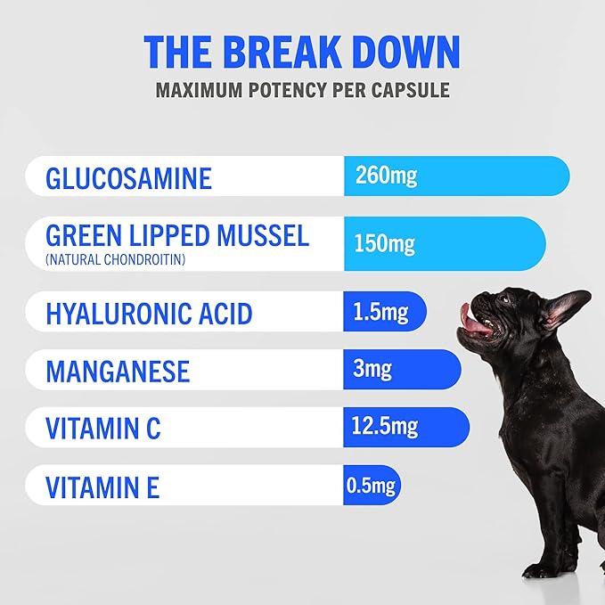 Hip and Joint Supplement for Dogs 300 Tablets | Formulated with Glucosamine & Chondroitin for Dogs | Proven to Improve Mobility & Increase Flexibility | All Breeds & Sizes