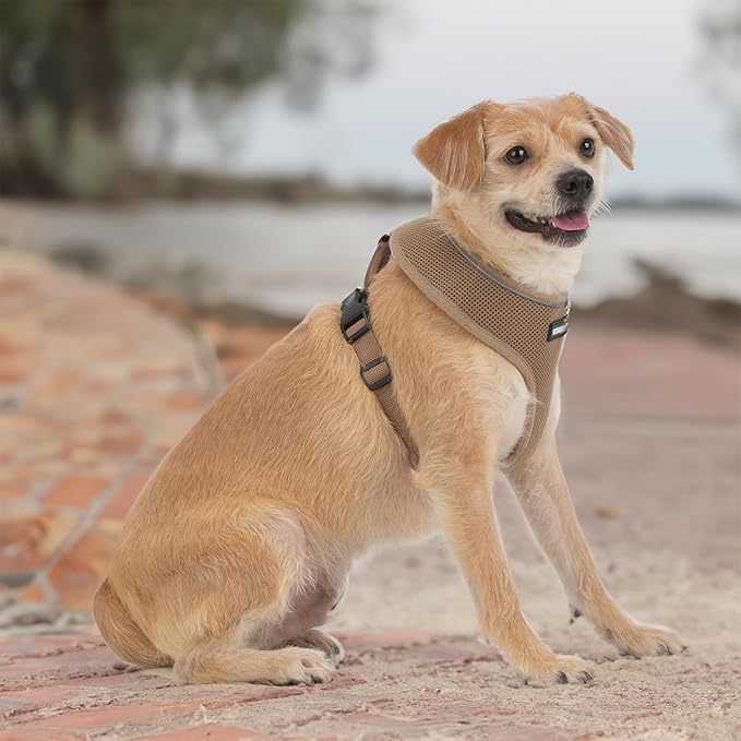 Aerolite No Pull Mesh Dog Harness with Lightweight, Soft, Breathable Chest Coverage, Reflective Stitching, and Adjustable Straps for Walking, Running, Training, Heavy Duty and Durable - Beige, S