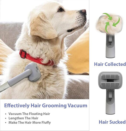 Professional Dog Grooming Kit,Pet Hair Vacuum Suction 99%,Electric Clippers with 5 in1 Grooming Kits for Shedding Grooming Home Cleaning,2L Dust Cup,Quiet,Pet Friendly