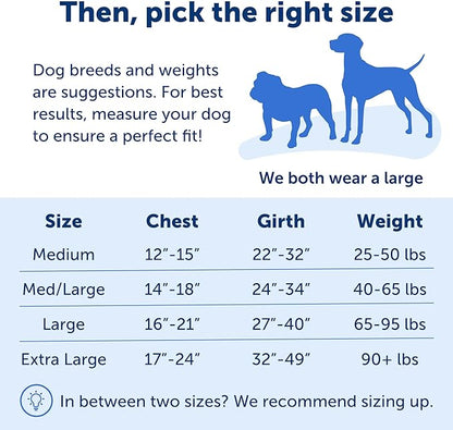PetSafe Easy Walk Dog Harness - No Pull Dog Harness - Medium/Large, Deep Purple