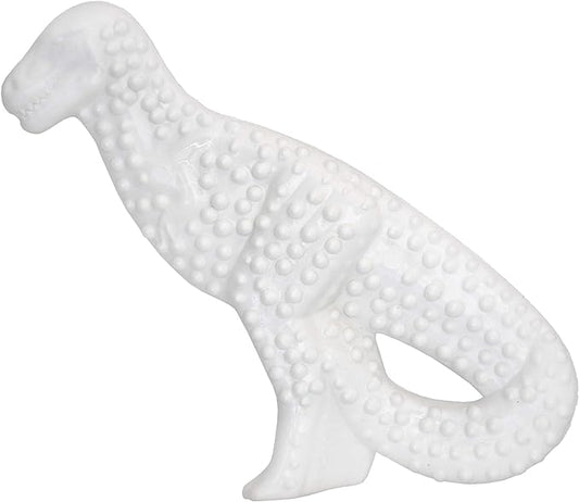 Nylabone Power Chew Dental Chew Toy Durable Dinosaur Dog Toy, Chicken Flavor, Small/Regular (1 Count)