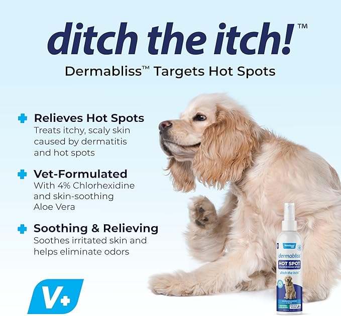 Vetnique Dermabliss Hot Spot Treatment for Dogs - Antiseptic Medicated Chlorhexidine Spray - Vet Recommended for Skin Infections, Hot Spots & Irritation (Hot Spot Spray, 8oz)