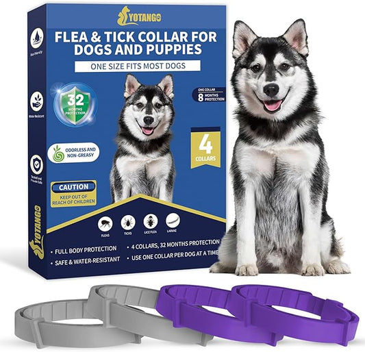 4 Pack Flea Collar for Dogs, 8 Months Flea and Tick Collar for Dogs Puppies, Flea and Tick Prevention for Dogs, Adjustable Waterproof Dog Flea Collar, Dog Flea and Tick Treatment-Gray Purple
