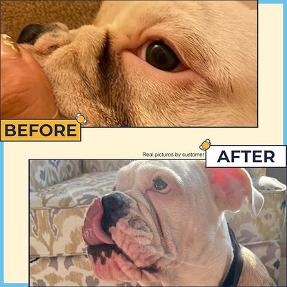 Wrinkle Wipes for English Bulldog,French Bulldog,Pug(Alcohol Free)- Dog Face Wipes For Wrinkles,Tail Pockets- Wrinkle Wipes Frenchie Bulldog. Say Bye to Rash Using It With Wrinkle Paste For Bulldogs