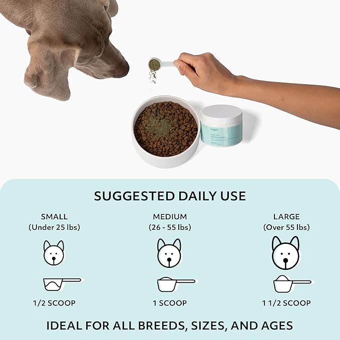Reggie Bright Bite Dental Powder for Dogs | Reduces Bad Breath, Plaque, Tartar | Made in The USA, Organic, Vet-Approved, Ideal for All Ages & Breeds - 60 Scoops