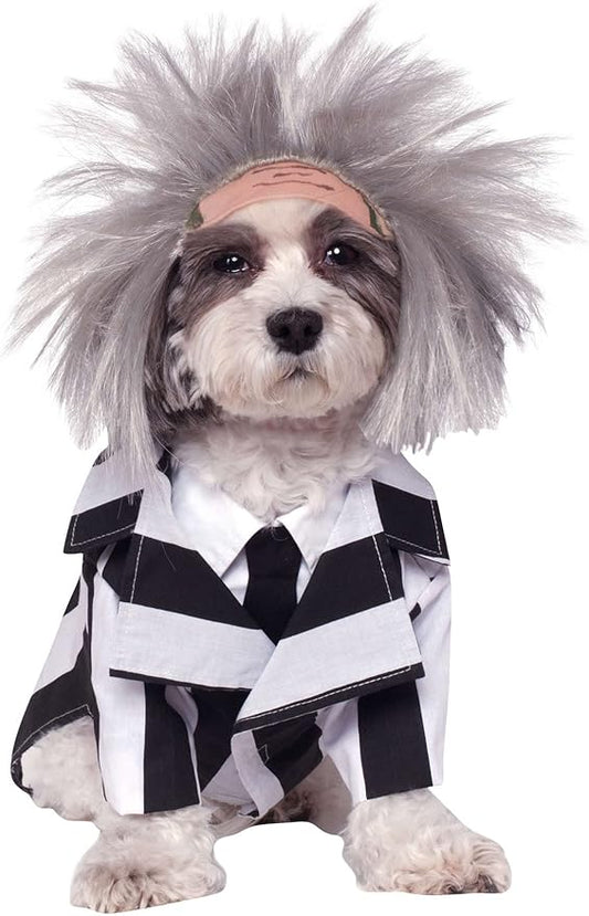 Rubie's Beetlejuice Pet Costume, Large