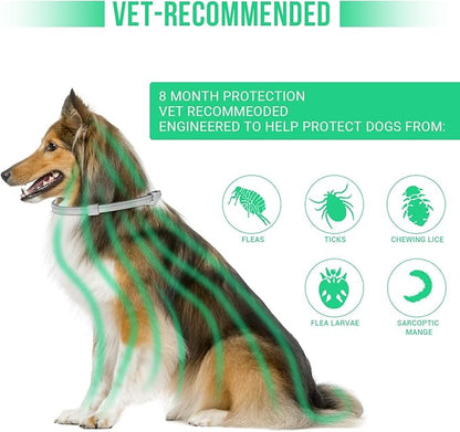 Flea and Tick Collar for Large Dogs with Flea Comb,8-Month Tick and Flea Control for Dogs Above 18 Lbs,Safe & Allergy Free, Waterproof, Adjustable,2 Pack