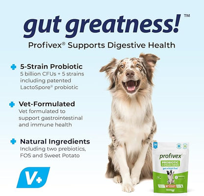 Vetnique Labs Profivex Probiotics for Dogs All Natural Dog Chews & Powder for Digestive Health Probiotic Supplements for Dogs 5 Strains of Probiotics & Prebiotics (Soft Chews, 30ct)