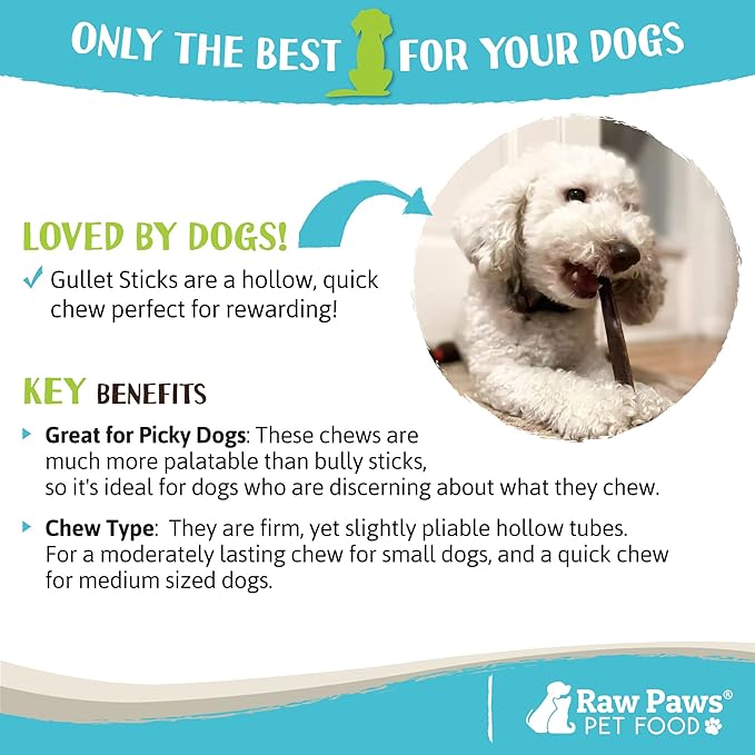 Raw Paws Beef Gullet Sticks for Dogs, 6-inch, 10-ct - Free-Range Cows raised without Antibiotics or Added Hormones - Gullet Sticks for Small Dogs to Large Dogs - Beef Esophagus Dog Treats