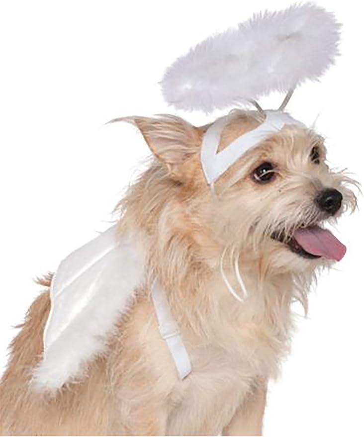 Rubie's Angel Halo and Wings Pet Costume Accessory Set, Medium to Large, Multicolor