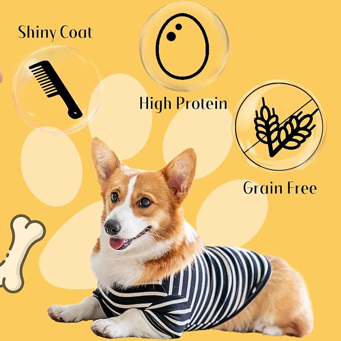 ASMPET Chicken Jerky Chicken Chips Dog Treats, Flavorable Dog Snack Rich in Protein All Natural Ingredients Free Grain Chewy Treat, Lovely Round Chicken Piece for Large Medium Dogs