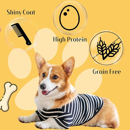 ASMPET Chicken Jerky Chicken Chips Dog Treats, Flavorable Dog Snack Rich in Protein All Natural Ingredients Free Grain Chewy Treat, Lovely Round Chicken Piece for Large Medium Dogs