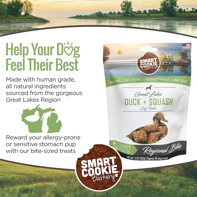 All Natural Dog Treats - Duck & Squash - Training Treats for Dogs with Allergies or Sensitive Stomachs - Soft Dog Treats, Grain Free Dog Treats, Chewy, Human-Grade, Made in USA - 5oz Bag