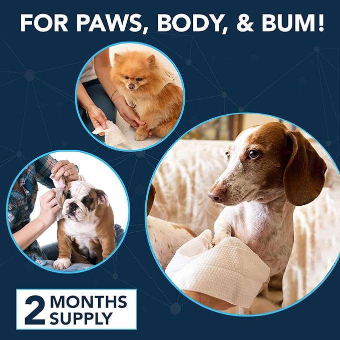 NOVEHA 120 Dog Wipes - Odor Eliminating and Cleaning Grooming Wipes for Dog's Paws, Body, and Butt - Perfect for Puppy and Adult Dogs - Plant-Based, Safe, Convenient & Large Unscented Wipes