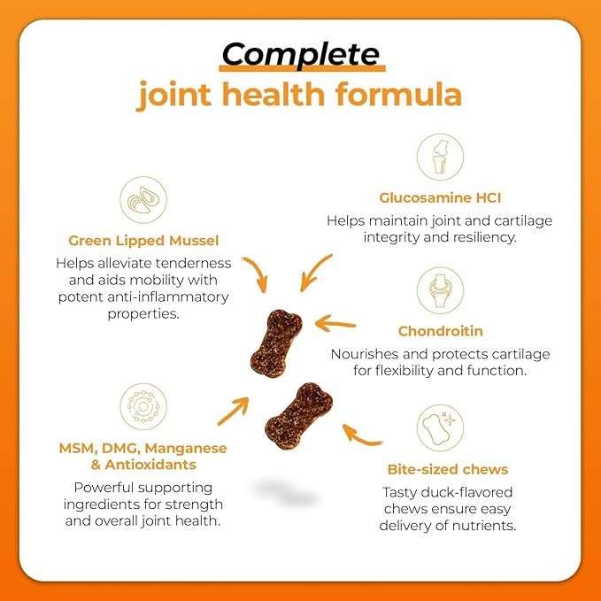 VetriScience GlycoFlex Plus Hip and Joint Supplement for Small Dogs – Extra-Strength Joint Support Chews for Dogs Under 30 Pounds, with Green Lipped Mussel, Chondroitin, and Glucosamine for Dogs