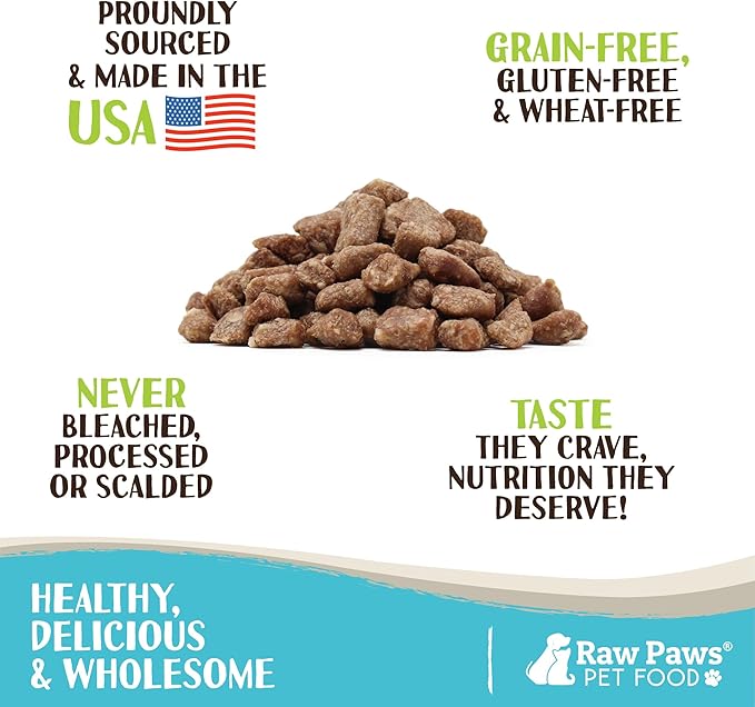 Raw Paws Freeze Dried Dog Food & Cat Food - Beef Recipe, 16-oz - Made in USA - Freeze-Dried Dog Food - Freeze Dried Raw Dog Food - Raw Dog Food Freeze Dried - Raw Food for Dogs - Freeze Dried Cat Food