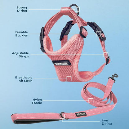 Voyager Step-in Lock Dog Harness w Reflective Dog Leash Combo Set with Neoprene Handle 5ft - Supports Small, Medium and Large Breed Puppies/Cats by Best Pet Supplies - Pink, S