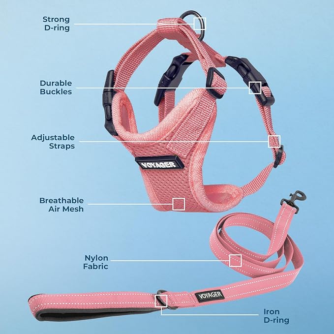 Voyager Step-in Lock Dog Harness w Reflective Dog Leash Combo Set with Neoprene Handle 5ft - Supports Small, Medium and Large Breed Puppies/Cats by Best Pet Supplies - Pink, L