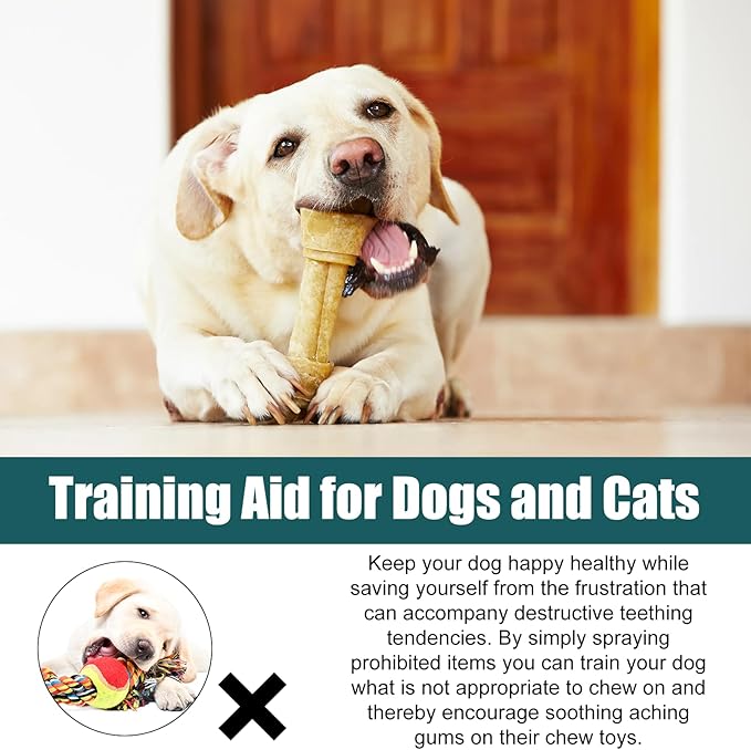 No Chew Spray for Dogs, 50ML. Bitter Apple Spray for Dogs to Stop Chewing. Dog Training & Behavior Aids. Effective Anti-Scratch Furniture Protector. Anti Chew Spray for Dogs. Indoor Outdoor Use.