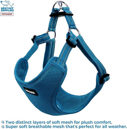 Best Pet Supplies Voyager Adjustable Dog Harness with Reflective Stripes for Walking, Jogging, Heavy-Duty Full Body No Pull Vest with Leash D-Ring, Breathable All-Weather - Harness (Turquoise), M