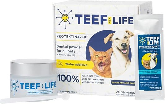 Protektin42+K Plant-Derived Daily Dental Care for All Pets (Sodium-Free), Dental Water Additive, Fights Plaque and Tartar, Dental Kit with 30 Servings for Life