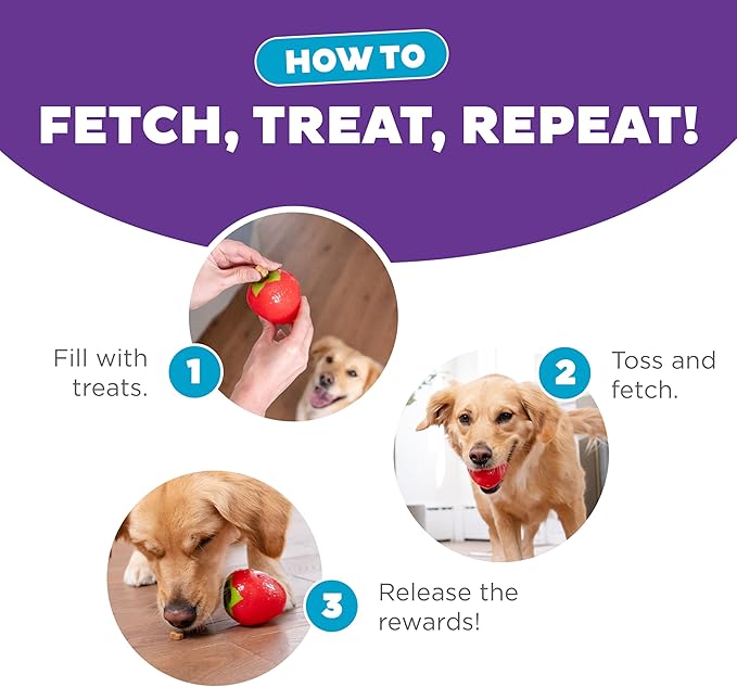 Outward Hound Foodies Carrot Strawberry Treat-Dispensing Dog Chew Toy, Pink