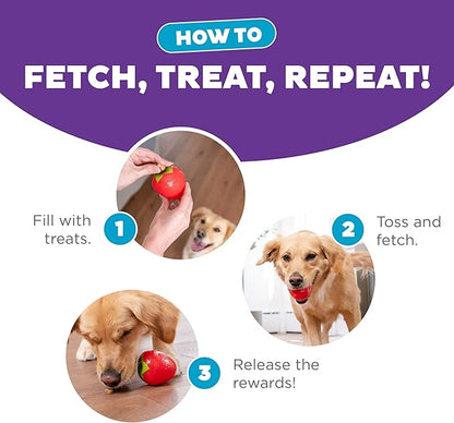 Outward Hound Foodies Carrot Strawberry Treat-Dispensing Dog Chew Toy, Pink