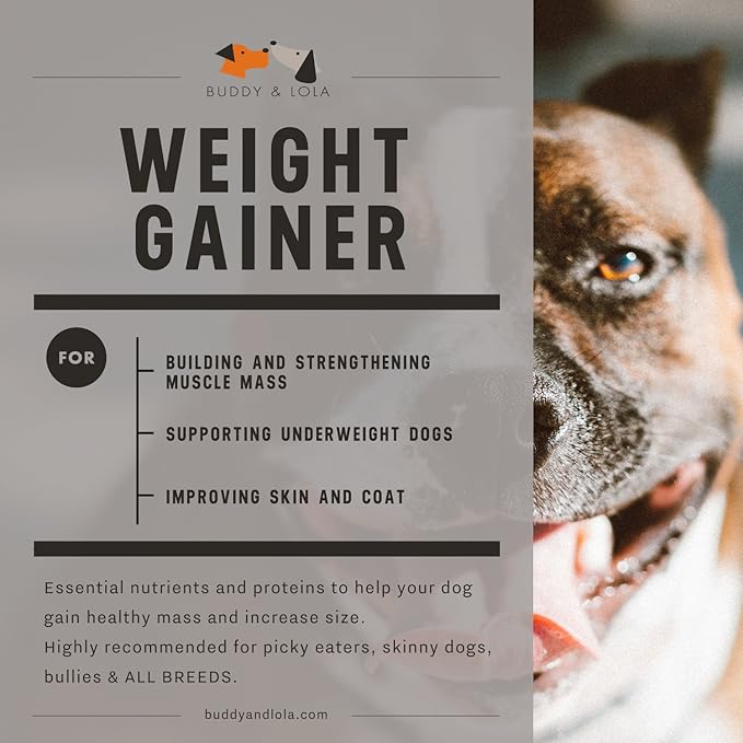 Buddy & Lola Dog Weight Gainer - Dog Supplement for Weight Gain - Dog Protien Powder for Max Muscle Builder, High Calorie supplement for All Dogs & Breeds inc Bully. Pro Food Topper - Made in The USA