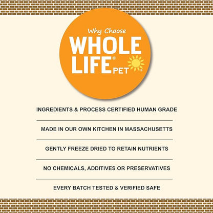 Whole Life Pet Just One Salmon - Dog Treat Or Topper - Human Grade, Freeze Dried, One Ingredient - Protein Rich, Grain Free, Made in The USA