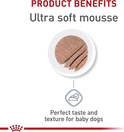 Royal Canin Size Health Nutrition Small Mother & Babydog Starter Mousse in Sauce Wet Dog Food, 5.1 oz can (24-count)
